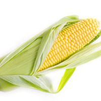 CornShucker200