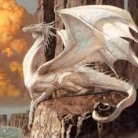 ShadowDragon