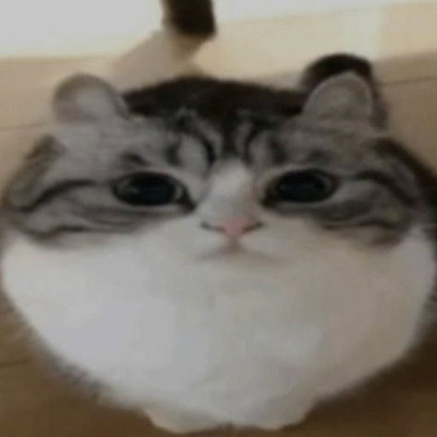 komo