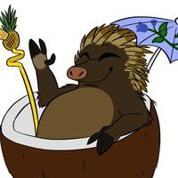 SoggyEchidna