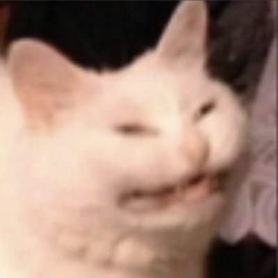 Kawaiiperson1221