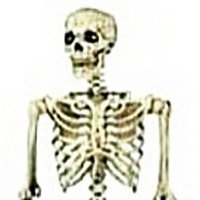 redthedude
