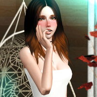nextgensims