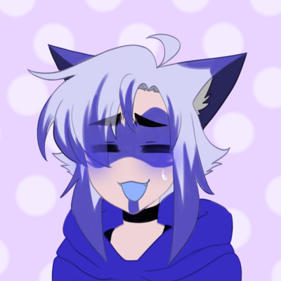 TK Raccoon