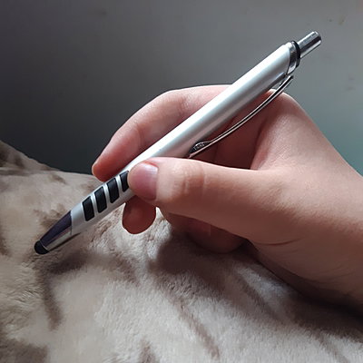 LocalVocalPen