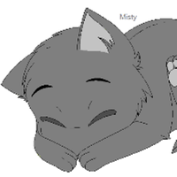 misty_grey_wolf