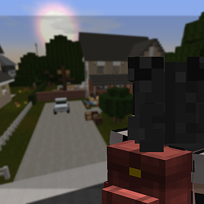 Ally_Zawi