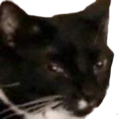 Cat Johnson