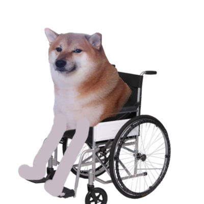 Dongo