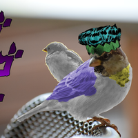 tavrobel