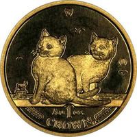 kittenscrown