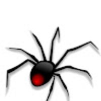 tiny spider productions