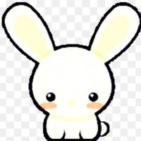 bunnipop