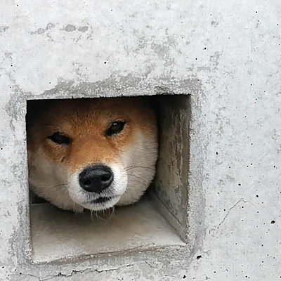 dubbladingo
