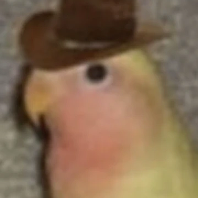 KatInTheHat