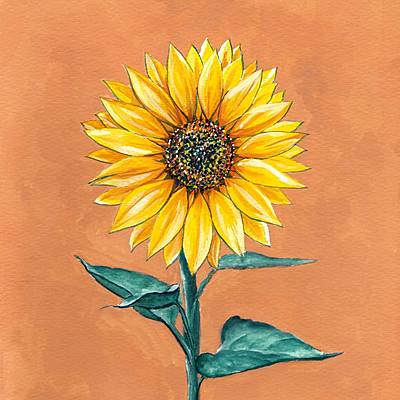SuNfLoWeRgIrL