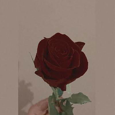 _xxAriannaIsMyName_xx