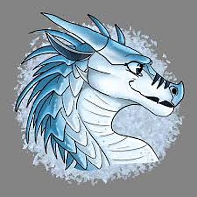 Snowgazer