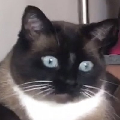 UltimateDisaster
