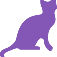 purplekat