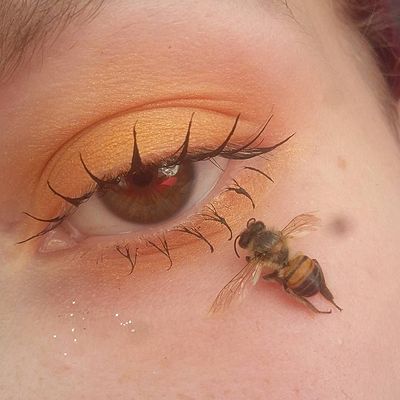 nuitbee