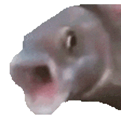 thattromboneguy