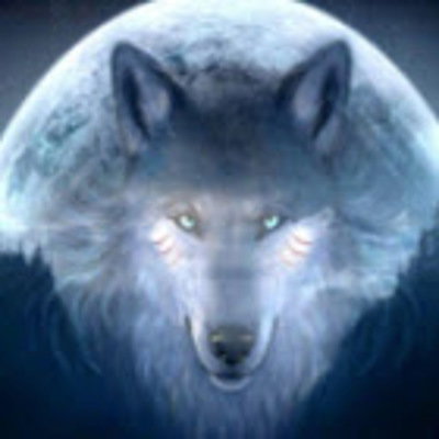 Climbdingwolf