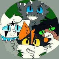 black cat studios