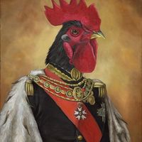 rooster bro