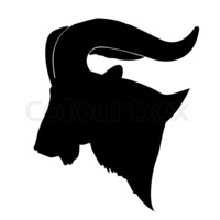 aquatic-ibex
