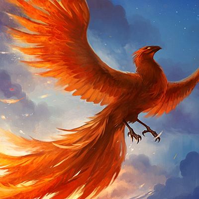 11phoenix11