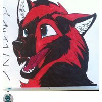 skyline the wolf