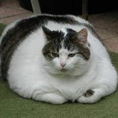 goobster1