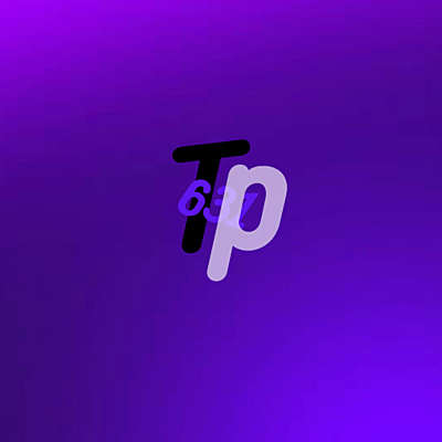 ThePerson6312