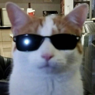 Jezzythedog