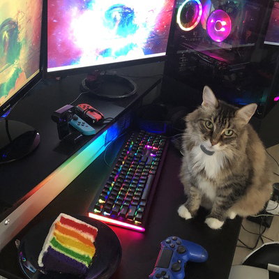 gaygeeklisa