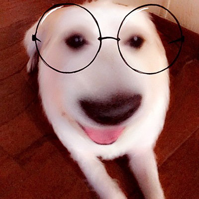 Blue_Lethy19
