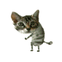 kittystuff