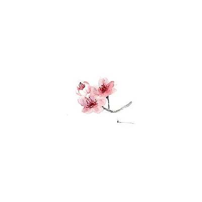 ItsBlossom