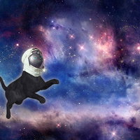 pastelspacecat