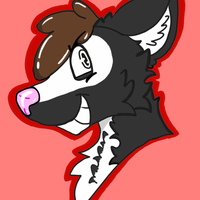 arkisskunk