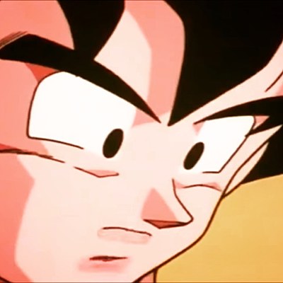 1989goku