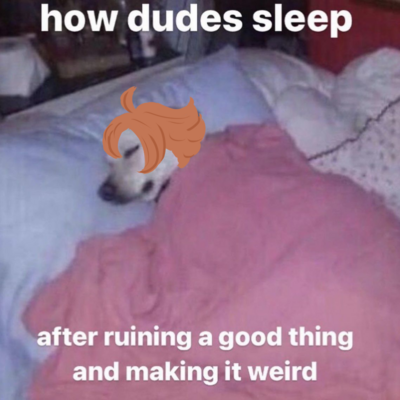 silverveilsva