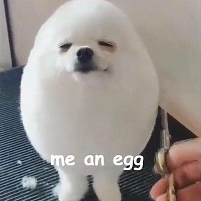 TheDerpyPotato uwu