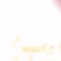 yolirend