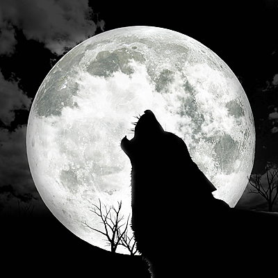 Moonous