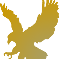 speedyhawk