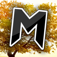 thesecondmsn