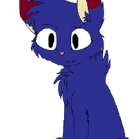 NSSLynx