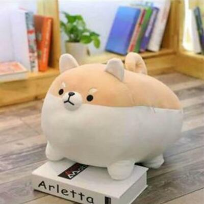 AngryShibe
